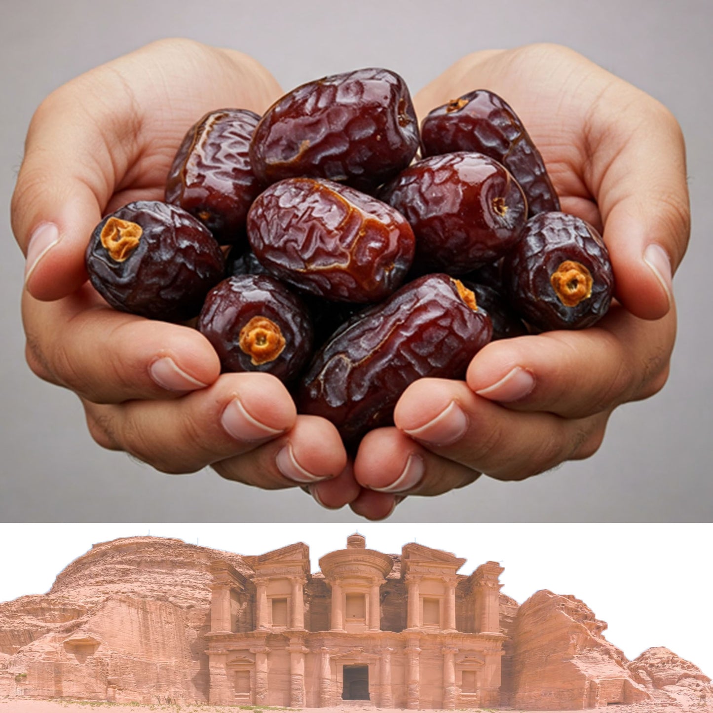 Jordanische Medjool-Datteln 1kg