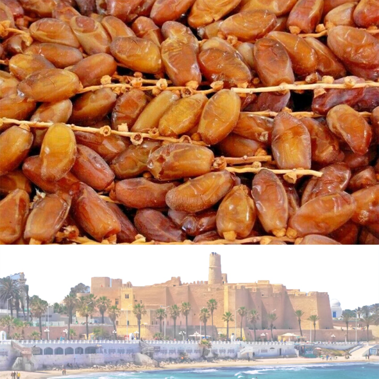 Natürlich getrocknete Datteln 500g "NOUR" - Aus Tunesiens Oasen